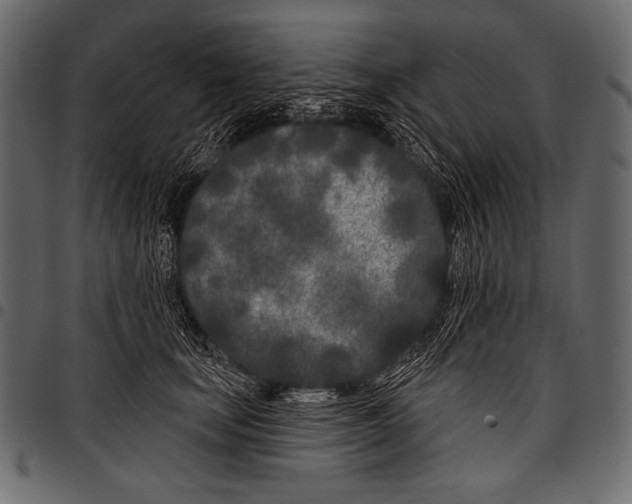 X0000097470659200803201449