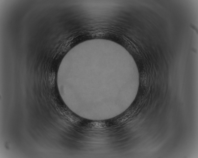 X0000097470660200803201449