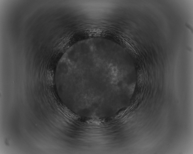 X0000097470661200803201449