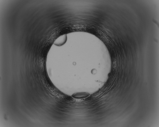 X0000097470662200803201449