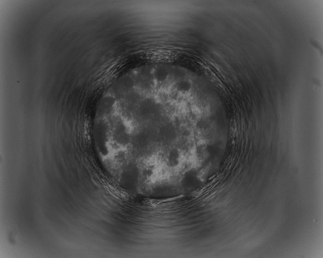 X0000097470663200803201449