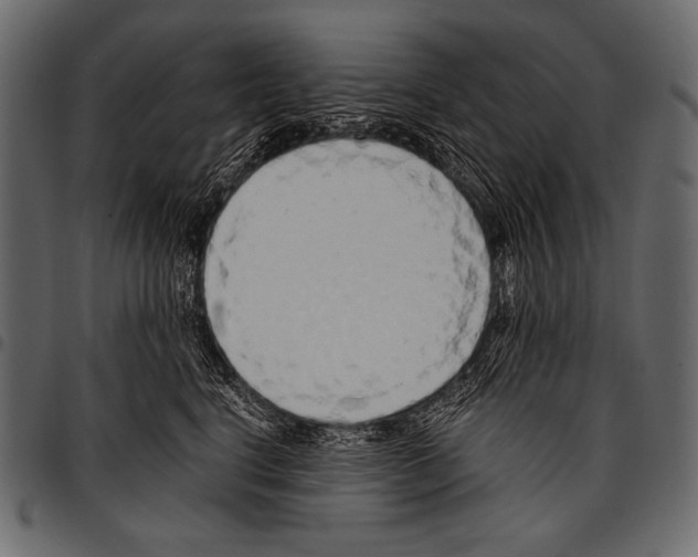 X0000097470664200803201449