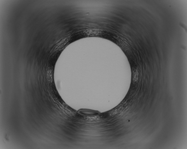 X0000097470666200803201449