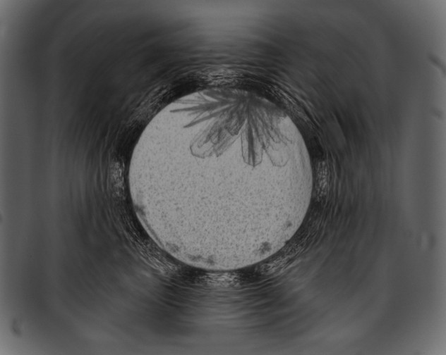 X0000097470667200803201449