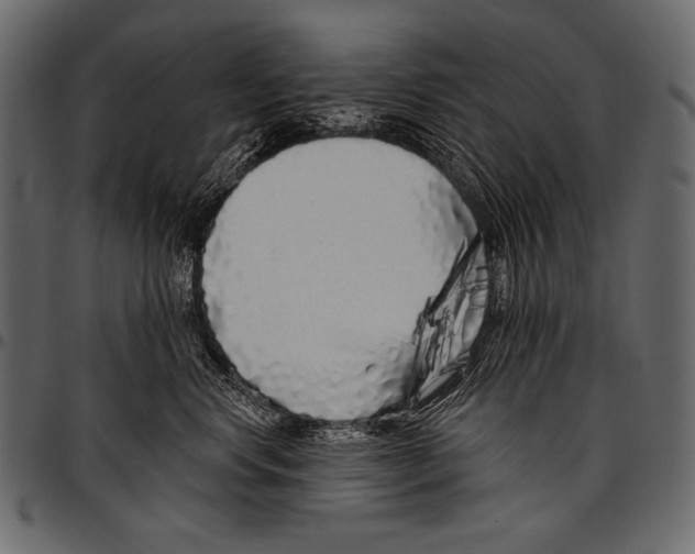 X0000097470668200803201449