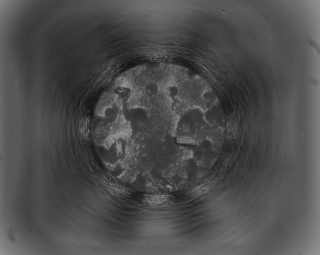 X0000097470671200803201449