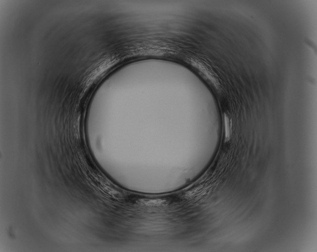 X0000097470675200803201448