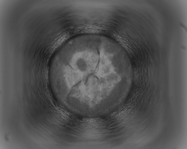 X0000097470679200803201448