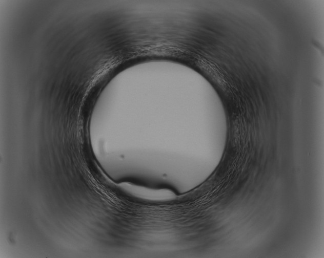 X0000097470680200803201448