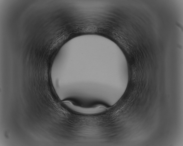 X0000097470681200803201448