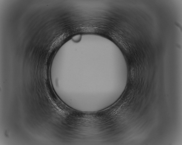 X0000097470682200803201448