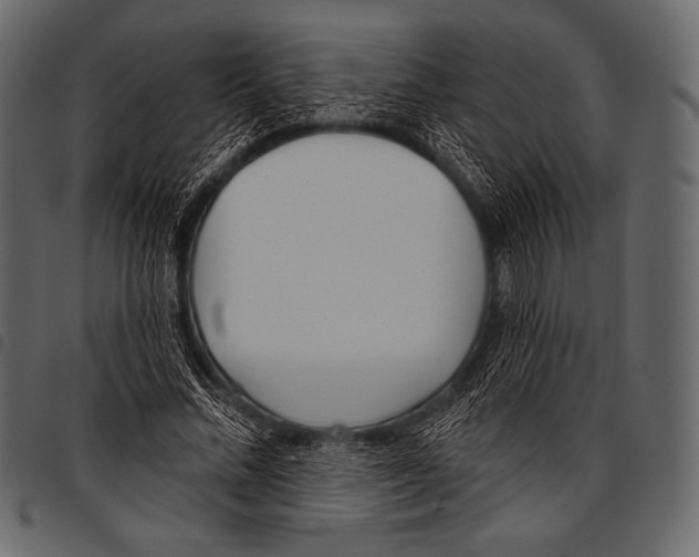 X0000097470684200803201448