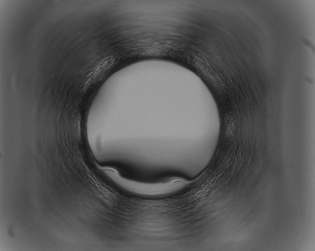 X0000097470685200803201448