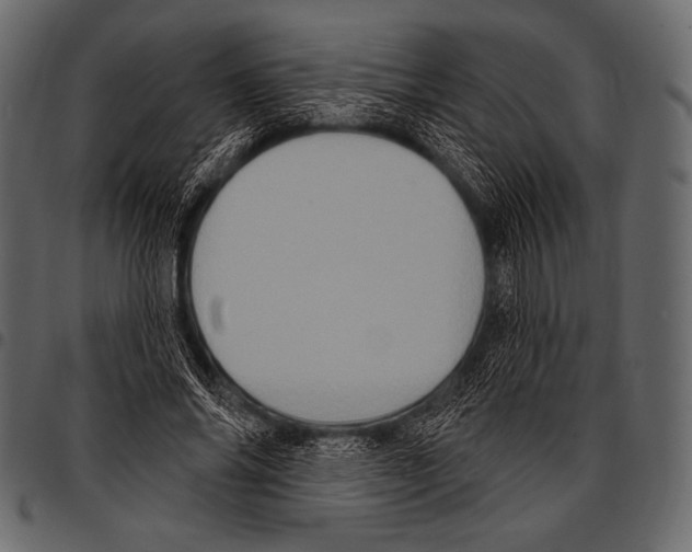 X0000097470686200803201448