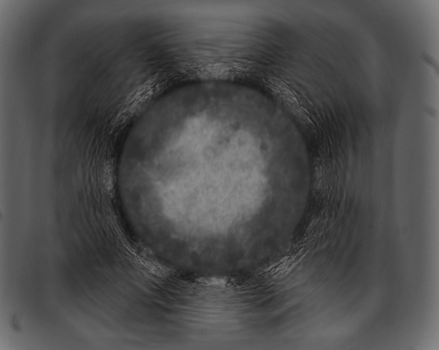 X0000097470687200803201448