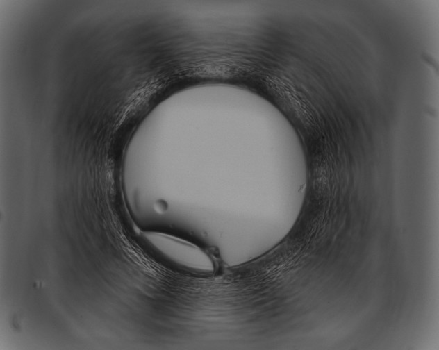 X0000097470688200803201448