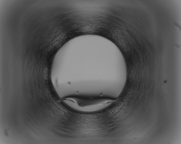 X0000097470689200803201448