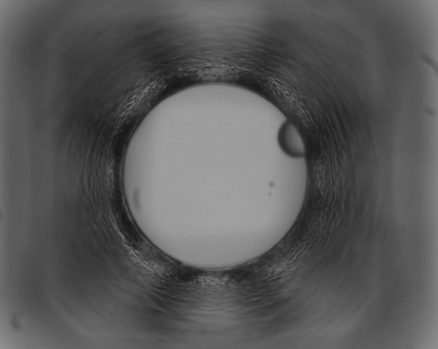 X0000097470690200803201448