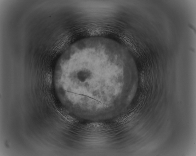 X0000097470691200803201448