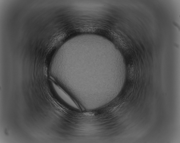 X0000097470692200803201448