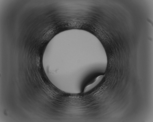 X0000097470693200803201448