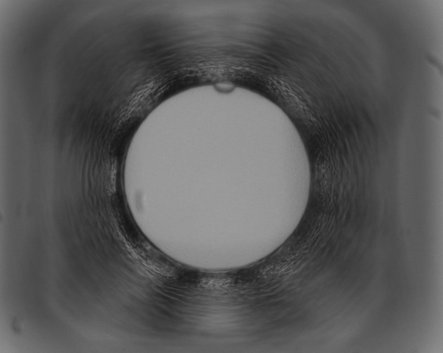 X0000097470694200803201448