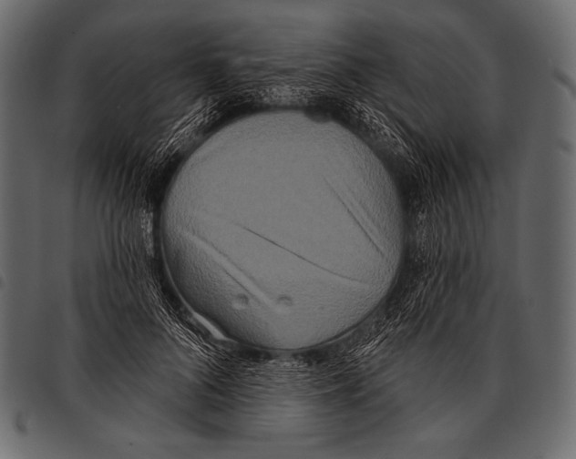 X0000097470696200803201448