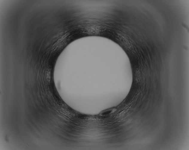 X0000097470697200803201448