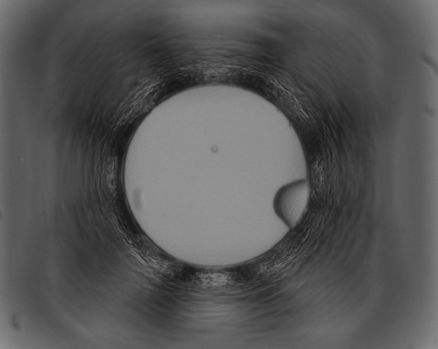 X0000097470698200803201448