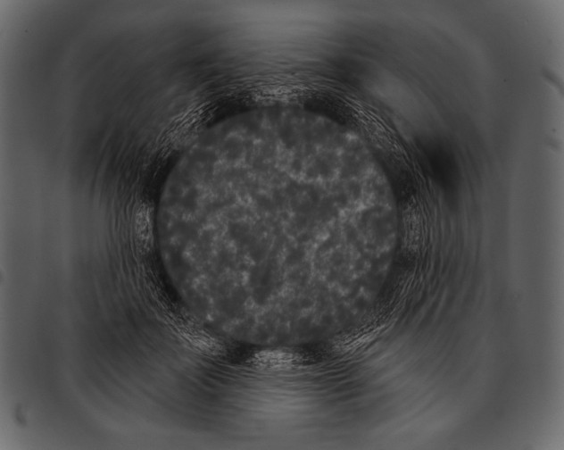 X0000097470699200803201448