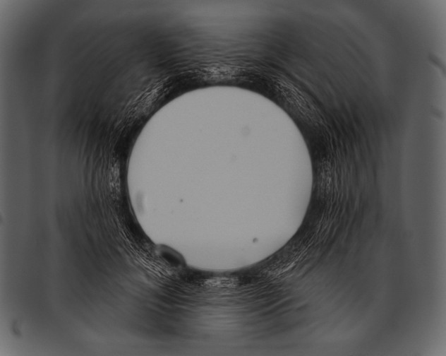 X0000097470700200803201448