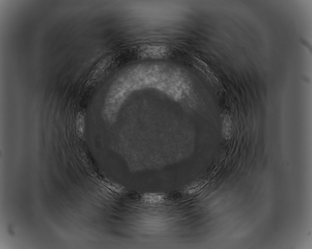 X0000097470701200803201448