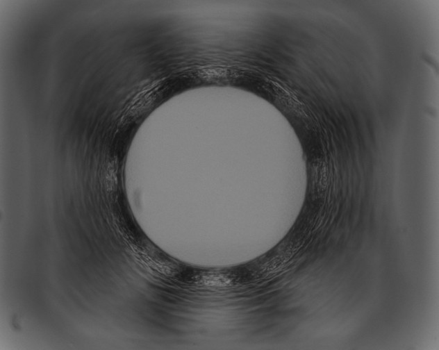 X0000097470702200803201448