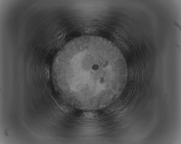 X0000097470703200803201448