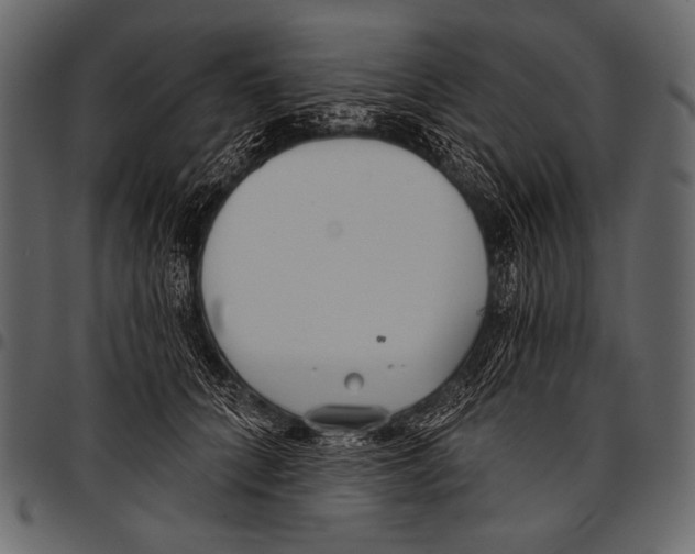 X0000097470704200803201448