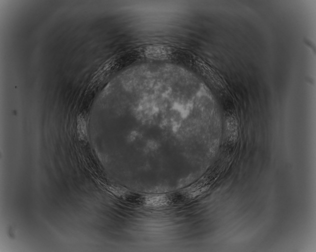 X0000097470705200803201448