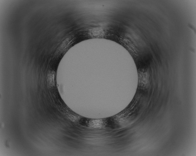 X0000097470717200803201448