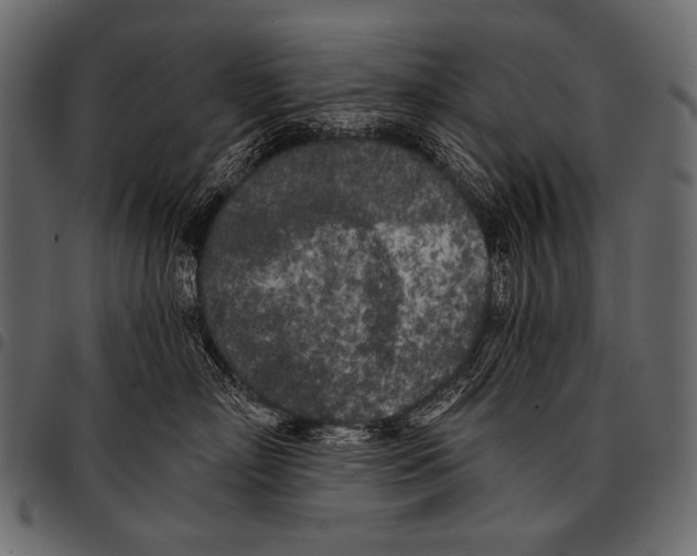 X0000097470718200803201448