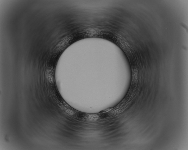 X0000097470719200803201448