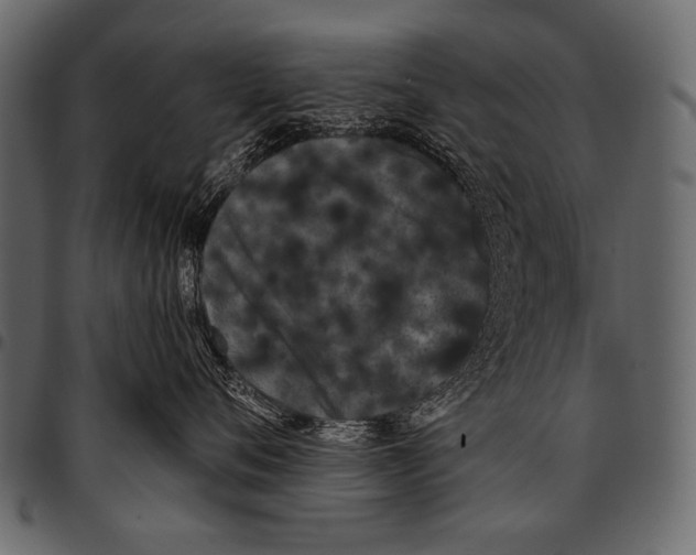 X0000097470720200803201448