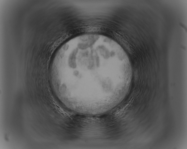 X0000097470721200803201447