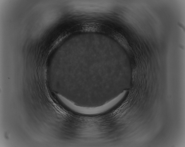 X0000097470722200803201447