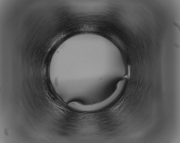 X0000097470723200803201447