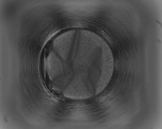 X0000097470724200803201447