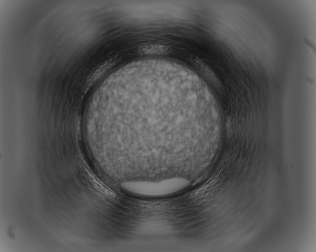 X0000097470725200803201447