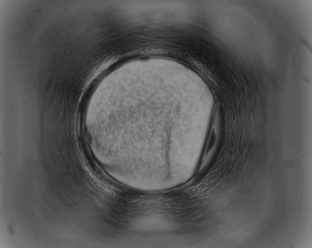 X0000097470726200803201447