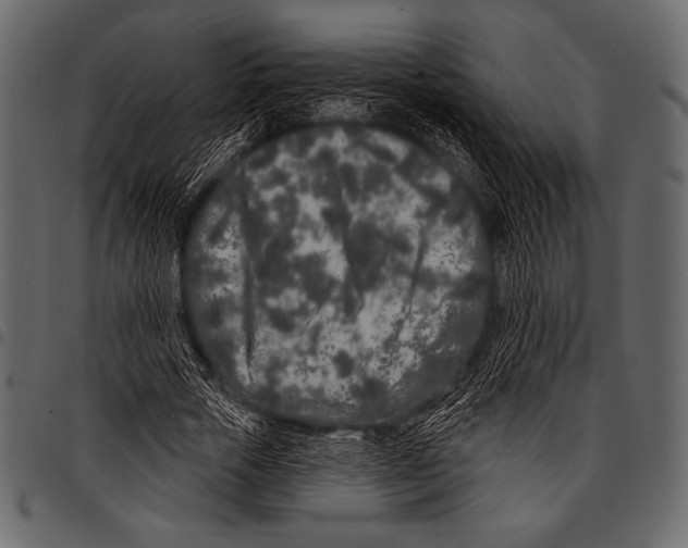 X0000097470729200803201447