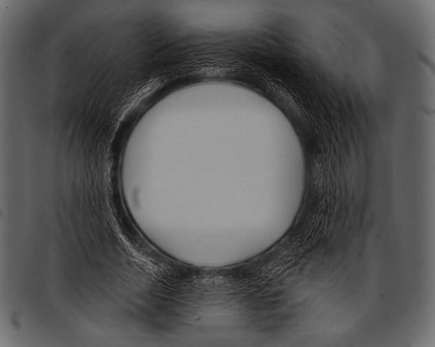 X0000097470730200803201447