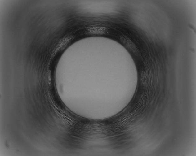 X0000097470731200803201447