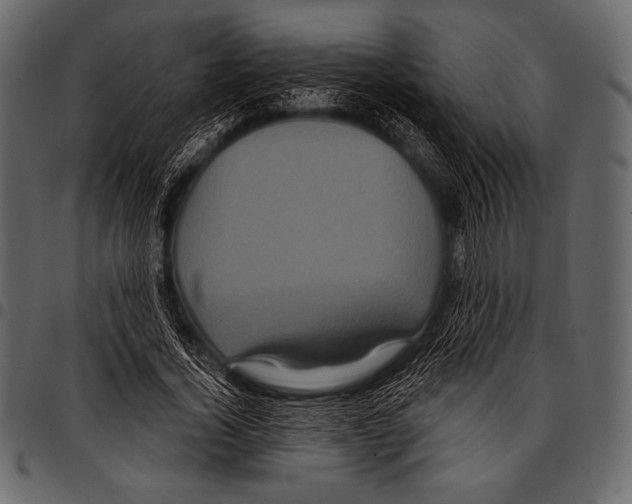 X0000097470732200803201447